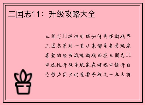 三国志11：升级攻略大全